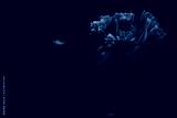 preview cold