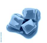 preview cold
