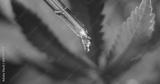 preview bw