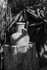 preview bw