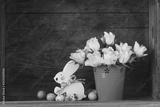 preview bw