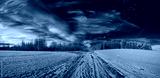 preview cold