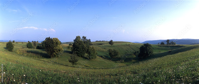 image to crop