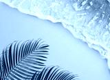 preview cold