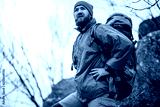 preview cold