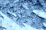 preview cold