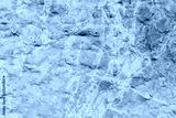 preview cold