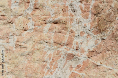 image to crop