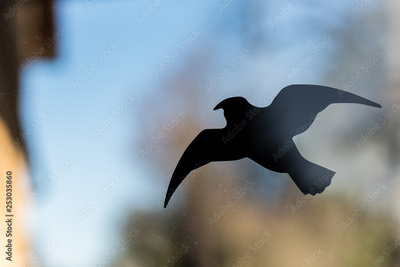 image to crop