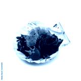 preview cold