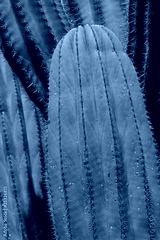 preview cold