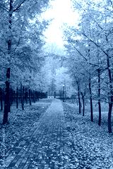 preview cold