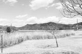 preview bw