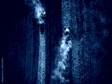 preview cold