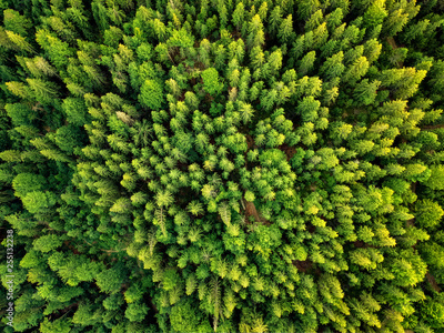 image to crop