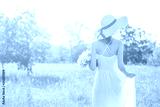 preview cold