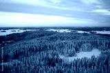 preview cold