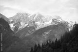 preview bw