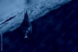 preview cold