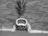 preview bw