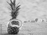 preview bw