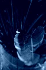 preview cold