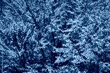 preview cold
