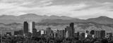 preview bw