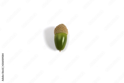 image to crop