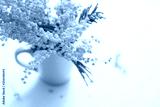 preview cold