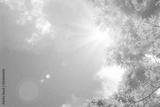 preview bw