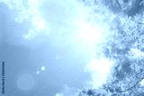 preview cold