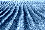 preview cold