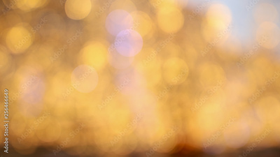 image to crop