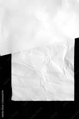 preview bw