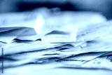 preview cold