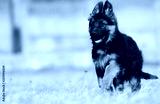 preview cold