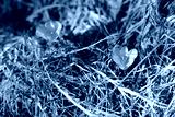 preview cold