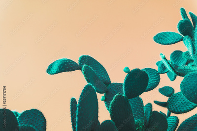 image to crop