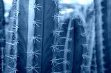 preview cold