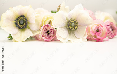 image to crop