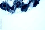 preview cold