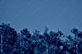 preview cold