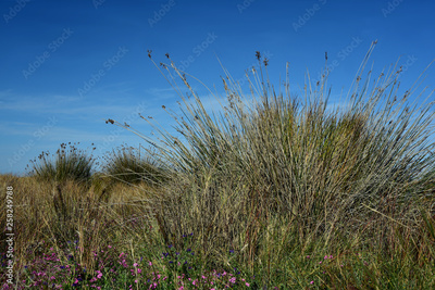 image to crop