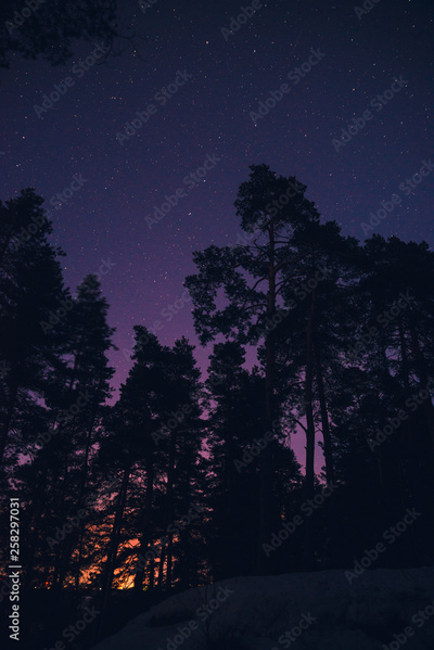 image to crop