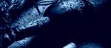preview cold