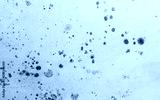 preview cold