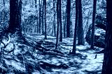 preview cold
