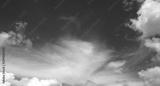 preview bw