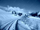 preview cold
